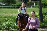 20170513161615_IMG_5751:  Foto: Den s koňmi v jízdárně Karlov v Kutné Hoře nabídnul pestrý program