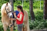 20170513161616_IMG_5753:  Foto: Den s koňmi v jízdárně Karlov v Kutné Hoře nabídnul pestrý program