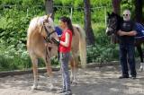 20170513161616_IMG_5754:  Foto: Den s koňmi v jízdárně Karlov v Kutné Hoře nabídnul pestrý program
