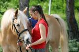 20170513161616_IMG_5755:  Foto: Den s koňmi v jízdárně Karlov v Kutné Hoře nabídnul pestrý program