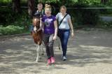 20170513161616_IMG_5758:  Foto: Den s koňmi v jízdárně Karlov v Kutné Hoře nabídnul pestrý program