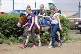 20170513161617_IMG_5769:  Foto: Den s koňmi v jízdárně Karlov v Kutné Hoře nabídnul pestrý program