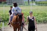 20170513161622_IMG_5823:  Foto: Den s koňmi v jízdárně Karlov v Kutné Hoře nabídnul pestrý program
