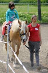 20170513161622_IMG_5825:  Foto: Den s koňmi v jízdárně Karlov v Kutné Hoře nabídnul pestrý program