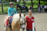20170513161622_IMG_5827:  Foto: Den s koňmi v jízdárně Karlov v Kutné Hoře nabídnul pestrý program