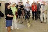 20170517141248_IMG_6104: Foto: V Kutné Hoře zahájili výstavu o kutnohorských zvonech a zvonařích