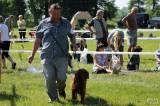 20170527112208_IMG_6294: Foto: Na výstavě psů na zámku Kačina bylo k vidění téměř tři stovky psů 65 plemen