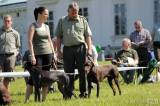 20170527112213_IMG_6344: Foto: Na výstavě psů na zámku Kačina bylo k vidění téměř tři stovky psů 65 plemen