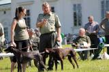 20170527112213_IMG_6345: Foto: Na výstavě psů na zámku Kačina bylo k vidění téměř tři stovky psů 65 plemen