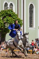 20170528151148_kladruby13: 12 Uherská pošta - Den starokladrubského koně nabídl řadu vystoupení a prezentací