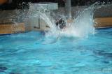 ah1b6509: Foto: Horko láme rekordy, Kolíňáci utekli k bazénu