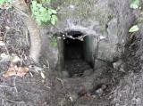 20170903184114_DSCN7670: Hrad se zachovalým podzemím a studní najdete v Chlumu u Zbýšova