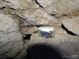 20170903184118_DSCN7708: Hrad se zachovalým podzemím a studní najdete v Chlumu u Zbýšova