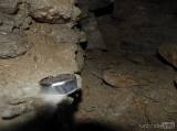 20170903184118_DSCN7710: Hrad se zachovalým podzemím a studní najdete v Chlumu u Zbýšova
