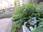 dscn3767: Foto, video: V zahradě čáslavské Diakonie v pátek přivítali léto
