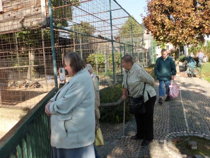 Kutnohorští důchodci vyrazili Taxíkem Maxíkem do ZOO Chleby