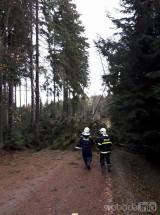 20171029184626_cestin01: Dobrovolní hasiči zasahovali u třinácti případů popadaných stromů