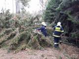 20171029184626_cestin02: Dobrovolní hasiči zasahovali u třinácti případů popadaných stromů