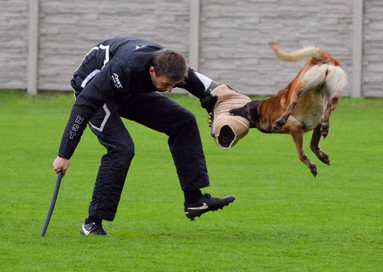 Foto: Pro kutnohorský útolek na závodu Dog Star Cup vybrali 2.100,- Kč!
