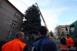 20171123112428_5G6H0319: Foto, video: Palackého náměstí v Kutné Hoře ozdobil stříbrný smrk z Čelakovského ulice