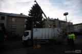 20171123112430_5G6H0395: Foto, video: Palackého náměstí v Kutné Hoře ozdobil stříbrný smrk z Čelakovského ulice