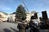 20171123112432_5G6H0849: Foto, video: Palackého náměstí v Kutné Hoře ozdobil stříbrný smrk z Čelakovského ulice
