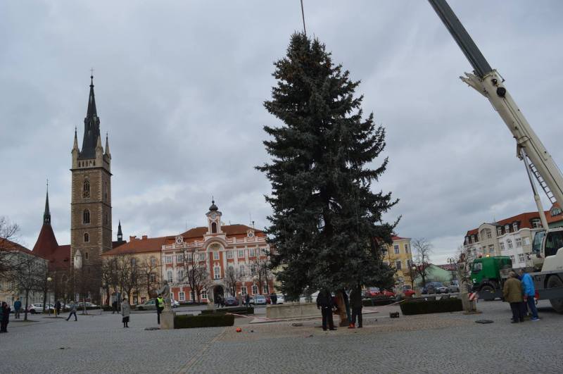 Vánoční strom dorazil do Čáslavi ze Zbraslavic, rozsvícení se dočká v neděli 4. prosince