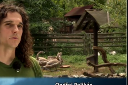 Video: Další díl TV Čáslav - "Máme rádi zvířata?"