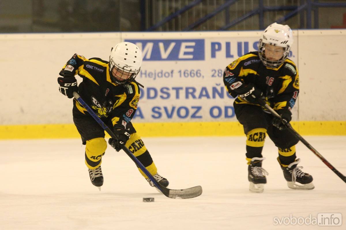 Hokejový turnaj přípravek v Kutné Hoře opanoval tým Kolína!