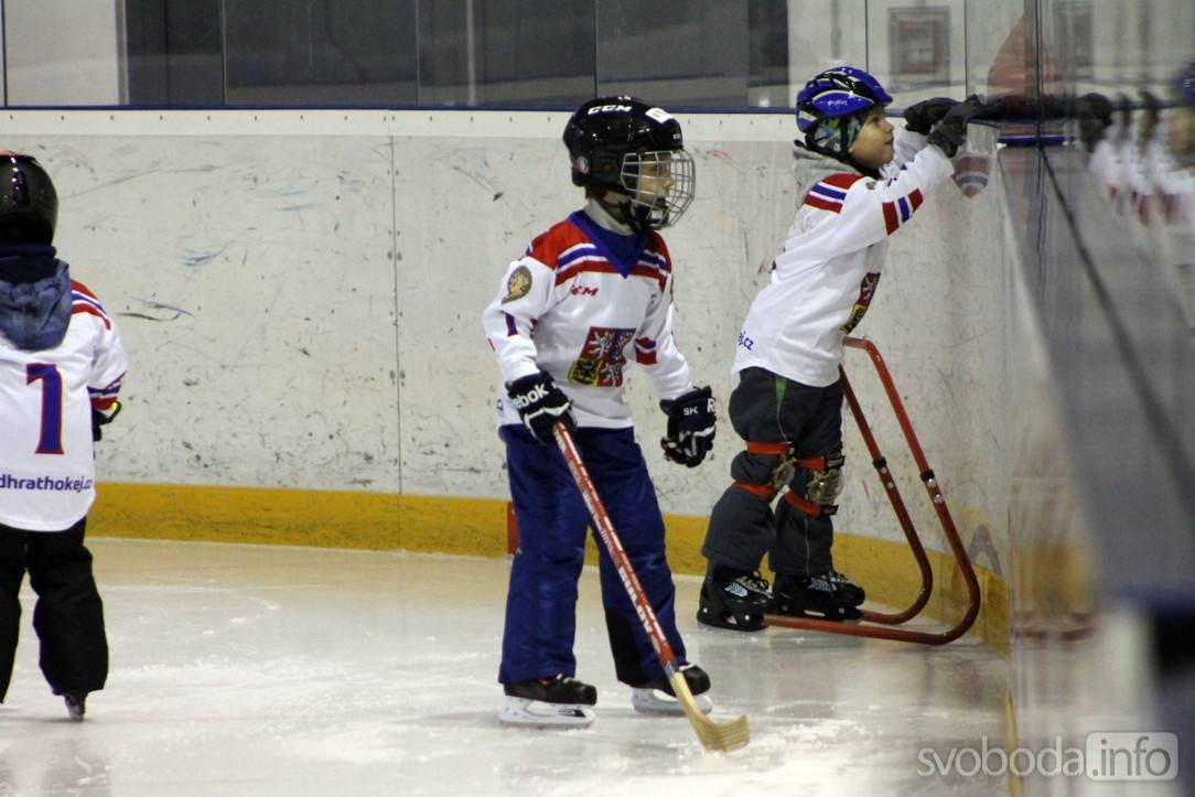 Foto: Gripeni přivítali nové dětičky v rámci akce Týden hokeje v Čáslavi