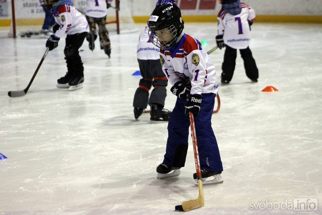 Foto: Gripeni přivítali nové dětičky v rámci akce Týden hokeje v Čáslavi