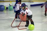 20180128173640_IMG_8794: Foto: Gripeni přivítali nové dětičky v rámci akce Týden hokeje v Čáslavi