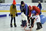 20180128173642_IMG_8799: Foto: Gripeni přivítali nové dětičky v rámci akce Týden hokeje v Čáslavi
