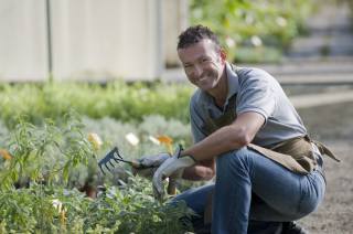 TIP na práci: STARKL zahradník hledá zaměstnance na pozice „pracovník zásilkové služby“ a "zahradník"
