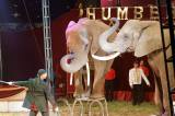Foto: Prvnímu představení cirkusu Humberto diváci tleskali ve čtvrtek