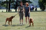 20180526122552_IMG_4992: Foto: Zámecký park na Kačině hostil oblastní výstavu psů