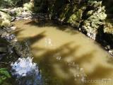 20180707193042_DSCN6312: Foto, video: V Doubravském údolí utopili vodníka a přelstili čerta!