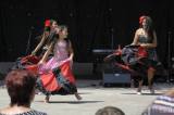 20180722133211__DSC1434_00001: Foto: Romové si na Kmochově ostrově užili svůj festival
