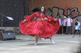 20180722133222__DSC1807_00001: Foto: Romové si na Kmochově ostrově užili svůj festival