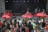 20180722133224__DSC1923_00001: Foto: Romové si na Kmochově ostrově užili svůj festival
