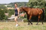 20180804143526_5G6H5538: Foto: V Čestíně na hřišti sehrál hlavní roli kůň, důležité bylo i umění jezdců