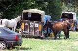 20180804143526_5G6H5544: Foto: V Čestíně na hřišti sehrál hlavní roli kůň, důležité bylo i umění jezdců