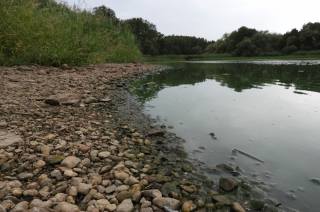 Foto, video: Letošní sucho výrazně postihlo také čáslavský rybník Jirsák