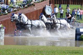 Starokladrubští koně na Světových jezdeckých hrách 2018