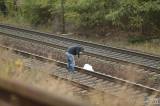 20181008102323_x-8440: Foto: Muž zemřel u kolínského Tesca pod koly vlaku