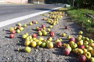 Kde se vzala jablka v Žehušicích uprostřed obce?