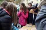 20181027103711_IMG_9798: Žáci ZŠ T. G. Masaryka slavnostně odhalili obnovenou pamětní desku v Jiráskových sadech