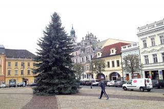 Kolínský strom byl usazen, vánoční výzdoba vyjde letos město na 300 tisíc korun