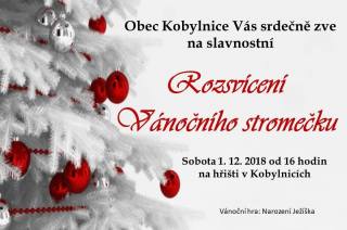 Vánoční strom v Kobylnicích společně rozsvítí v sobotu