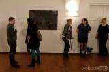 20190217144335_DSCF9997: Výstavu „BLACK MILK“ můžete navštívit v Galerii Felixe Jeneweina v Sankturinovském domě